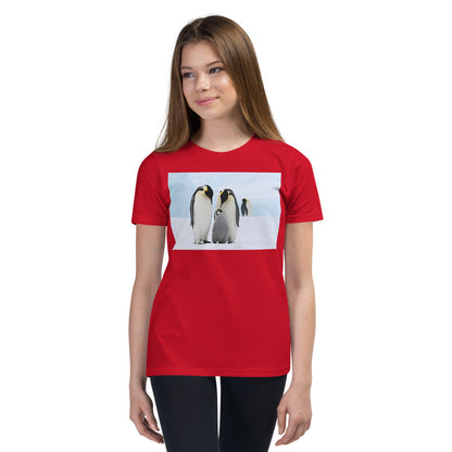 Premium Soft Crew Neck - Emperor Penguin Family