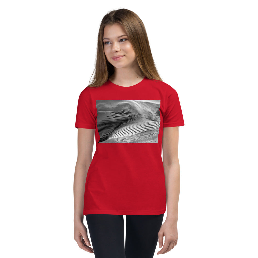 Premium Soft Crew Neck - Eye of a Whale