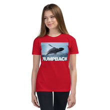 Load image into Gallery viewer, Premium Soft Crew Neck - A Lotta Whale

