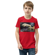Load image into Gallery viewer, Premium Soft Crew Neck - Score 10 on this Dive
