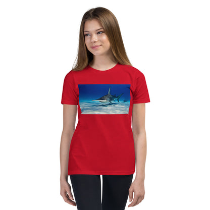 Premium Soft Crew Neck - Swimming with Hammerheads