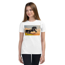 Load image into Gallery viewer, Premium Soft Crew Neck - Black Friesian
