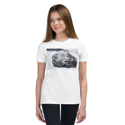 Premium Soft Crew Neck - Lying Sea Lion