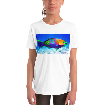 Premium Soft Crew Neck - Parrot Fish