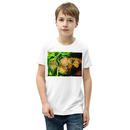 Premium Soft Crew Neck - Amazon Discus