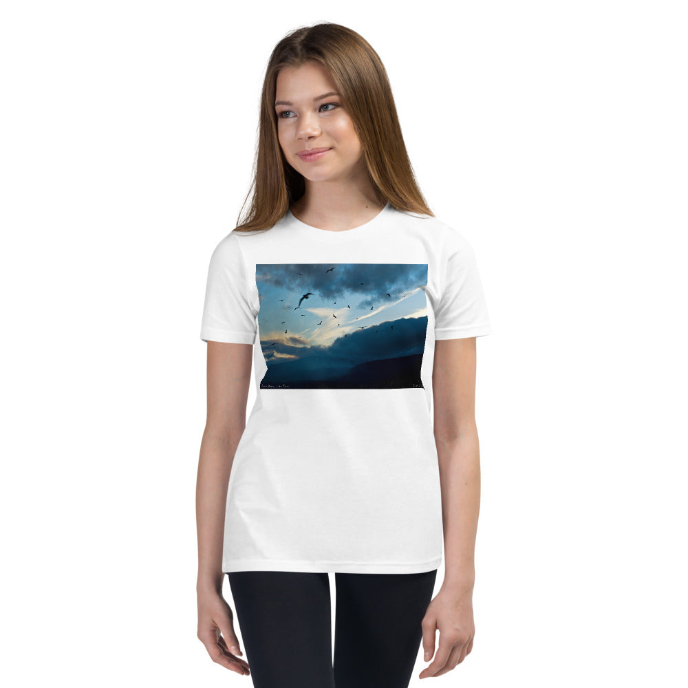 Premium Soft Crew Neck - Bird Storm at Lake Tahoe