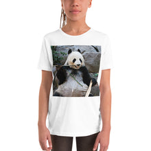 Load image into Gallery viewer, Premium Soft Crew Neck - Bamboo Panda
